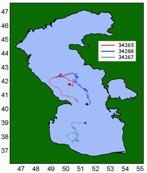 Tracks of SVP-BT drifters in Caspian Sea (October-November 2006)